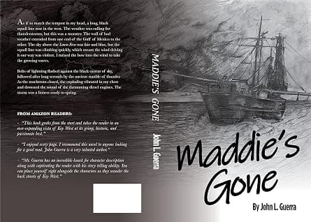 Maddie's Gone cover